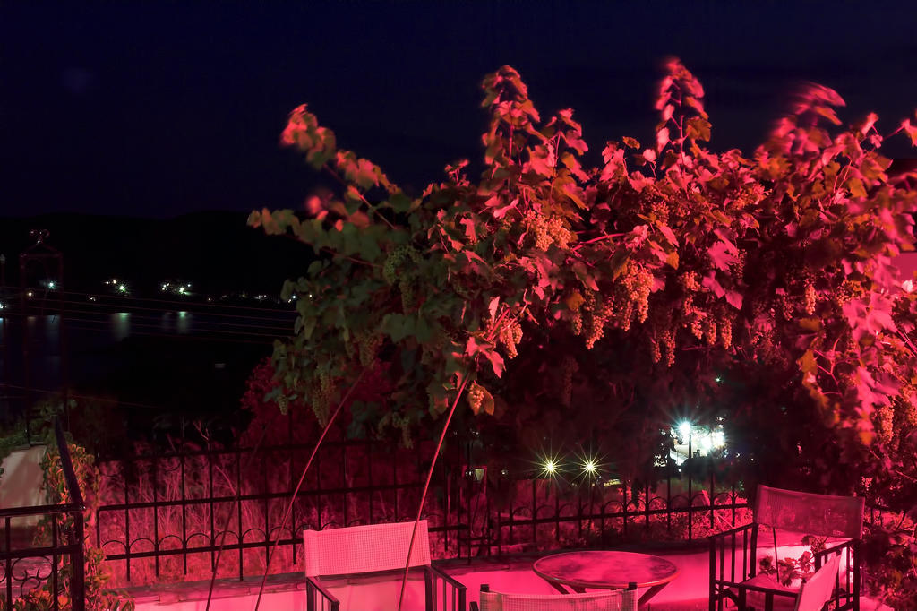 Art Hotel Panorama Pyrgadikia Exterior photo